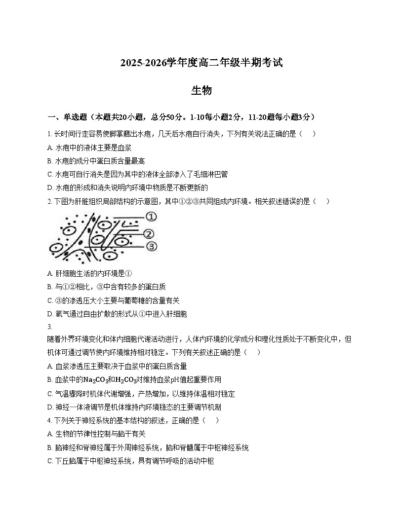 四川省内江市某学校2025_2026学年高二上学期期中考试生物试题（文字版，含答案）第1页