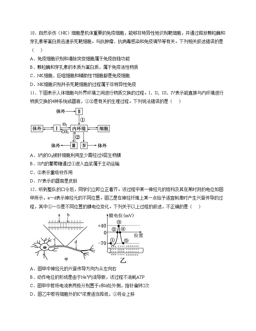 四川省内江市某学校2025_2026学年高二上学期期中考试生物试题（文字版，含答案）第3页