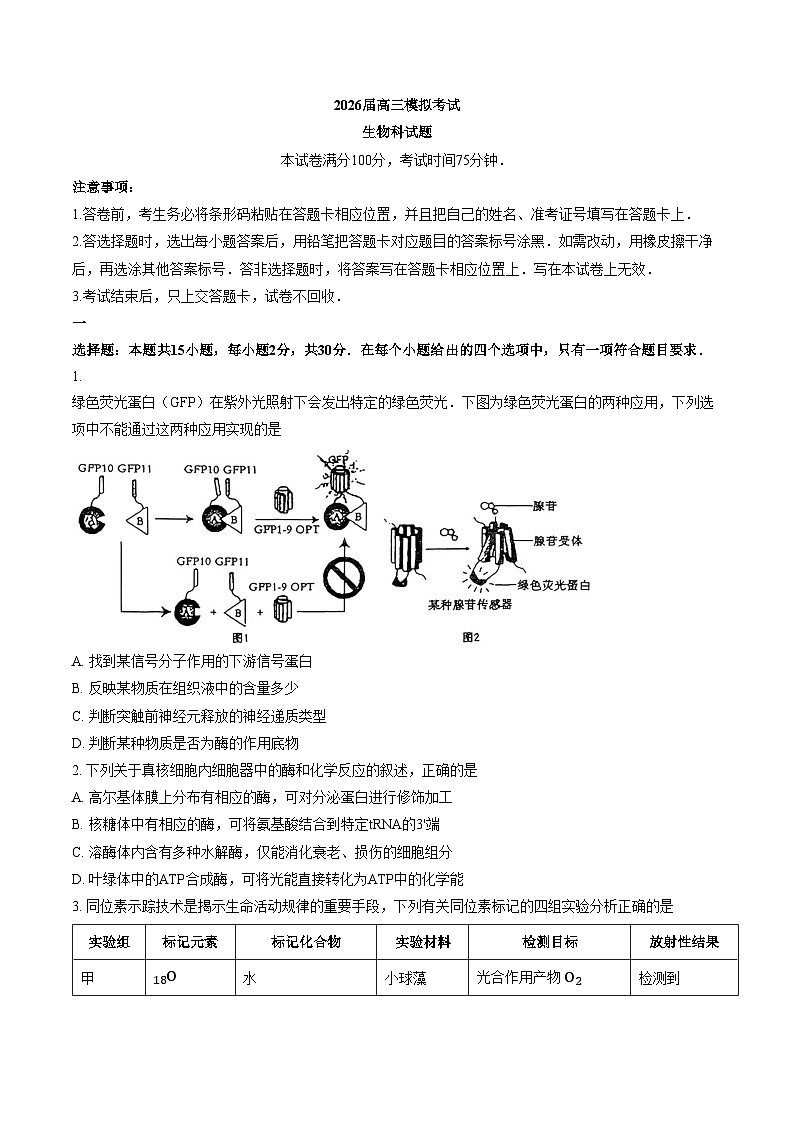 吉林省长春市五校联考2026届高三生物联考（文字版，含答案）第1页