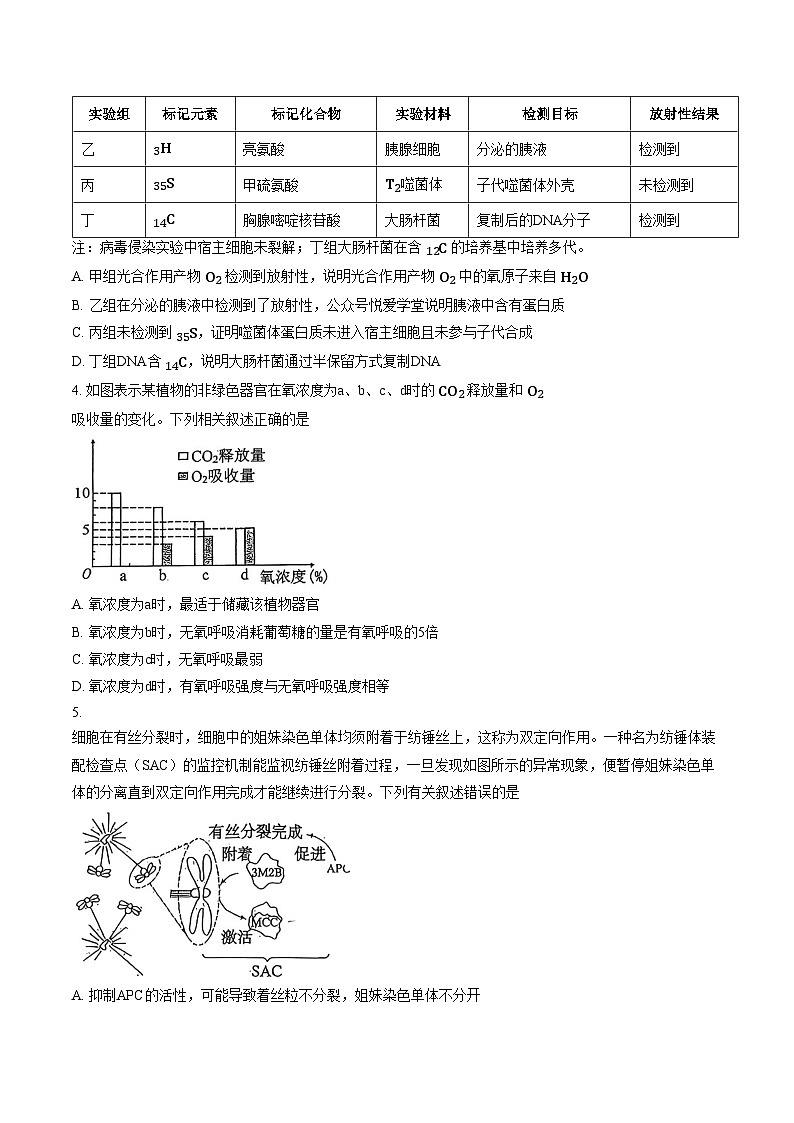吉林省长春市五校联考2026届高三生物联考（文字版，含答案）第2页
