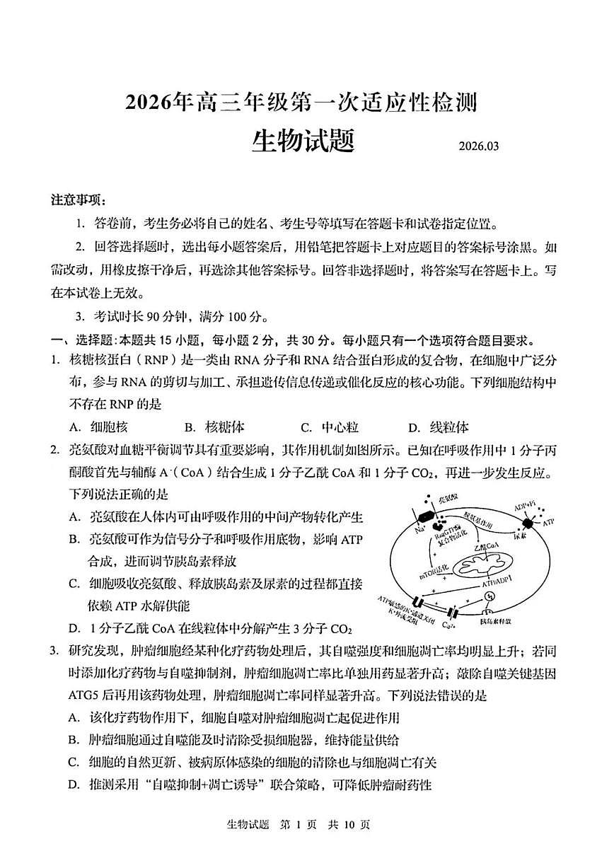 2026届山东青岛市下学期高三一模适应性检测 生物试题及答案第1页