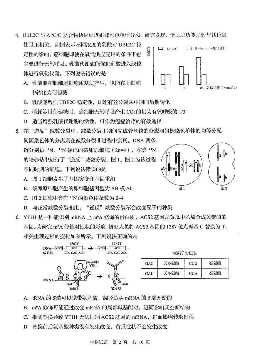 2026届山东青岛市下学期高三一模适应性检测 生物试题及答案第2页