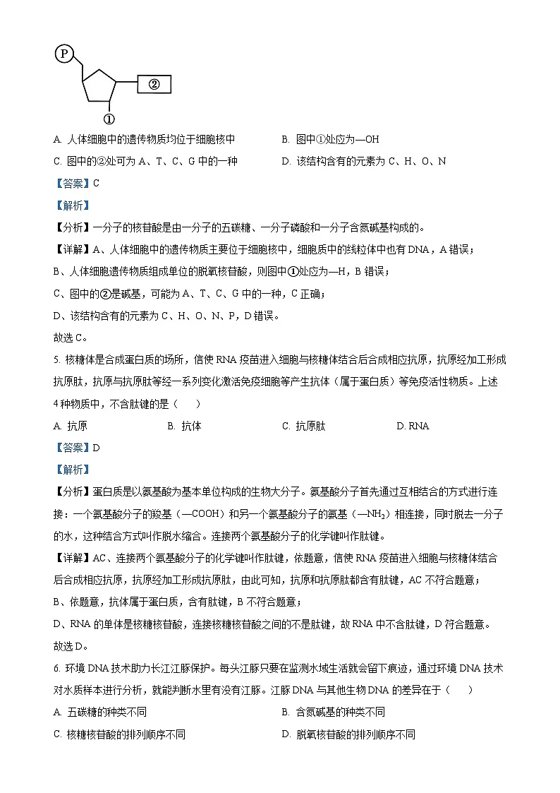 广东省名校联盟高一上学期期中联考生物试题（解析版）-A4第3页