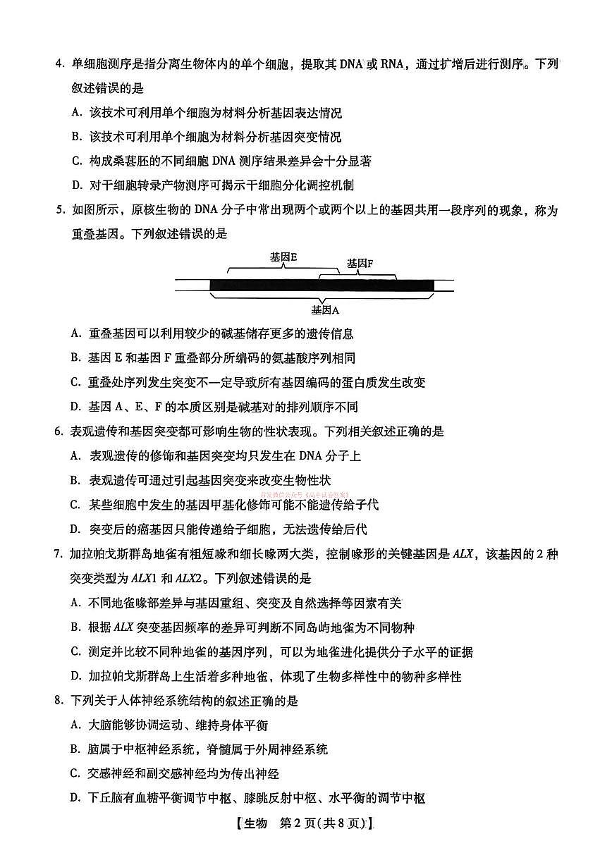 2026年河北高三下学期3月生物试题无答案第2页