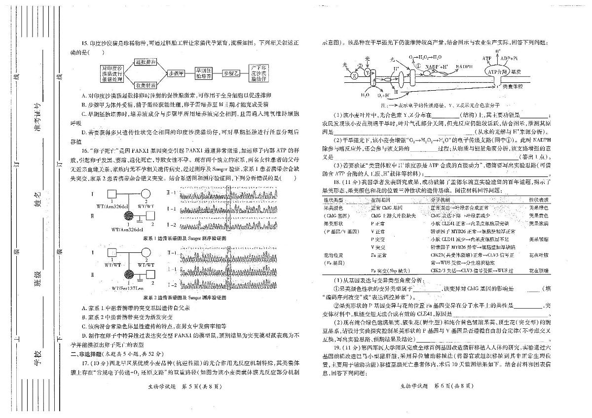 生物-陕西省2026年高考适应性检测（二）(陕西二模)试题及答案第3页