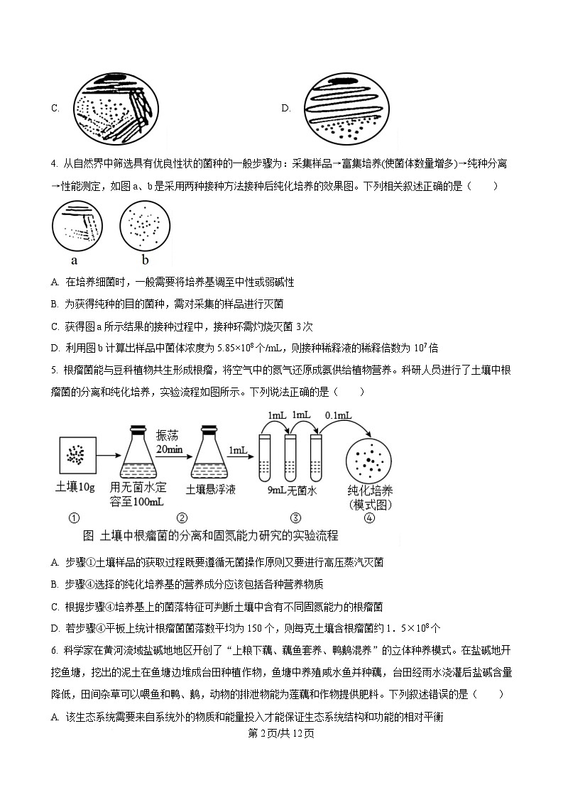 内蒙古自治区赤峰市红山区赤峰第四中学2024-2025学年高二下学期4月月考生物试题  Word版无答案第2页