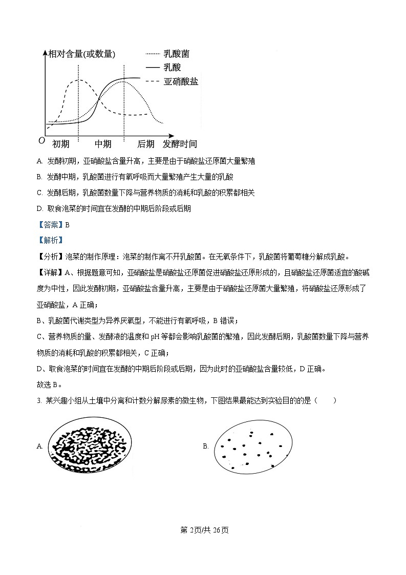 内蒙古自治区赤峰市红山区赤峰第四中学2024-2025学年高二下学期4月月考生物试题  Word版含解析第2页