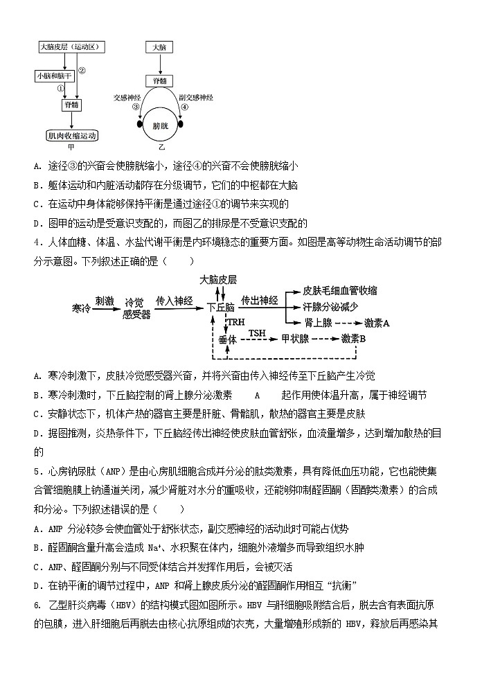 黑龙江省大庆市铁人中学2025-2026学年高二下学期开学考试生物试题第2页