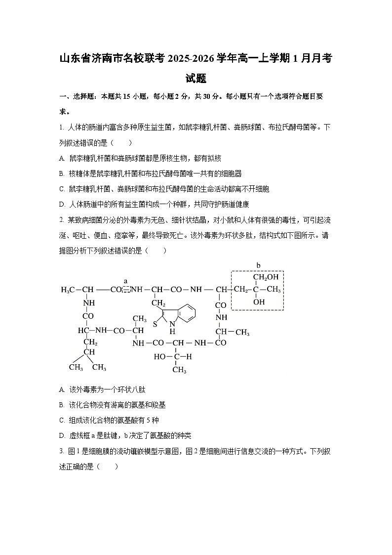 【生物】山东省济南市名校联考2025-2026学年高一上学期1月月考试题（学生版）第1页
