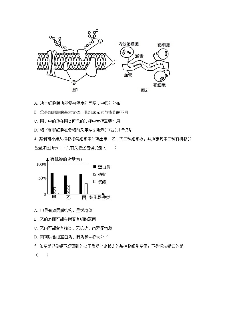 【生物】山东省济南市名校联考2025-2026学年高一上学期1月月考试题（学生版）第2页