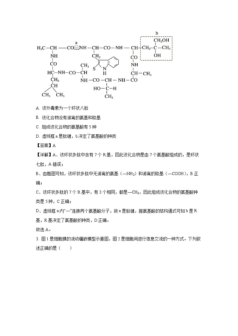 【生物】山东省济南市名校联考2025-2026学年高一上学期1月月考试题（解析版）第2页
