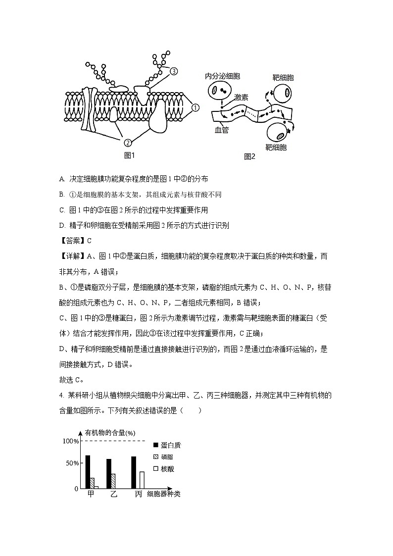 【生物】山东省济南市名校联考2025-2026学年高一上学期1月月考试题（解析版）第3页