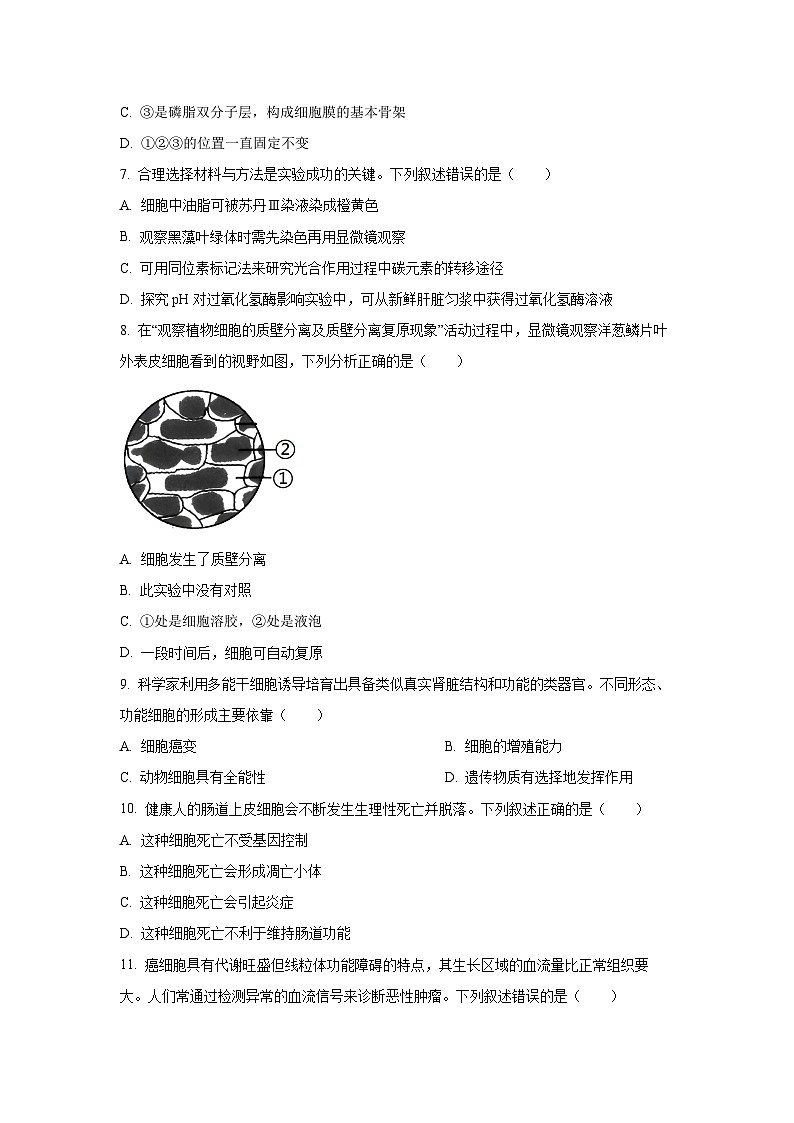 【生物】浙江绍兴市2025-2026学年高一上学期期末调测试题（学生版）第2页