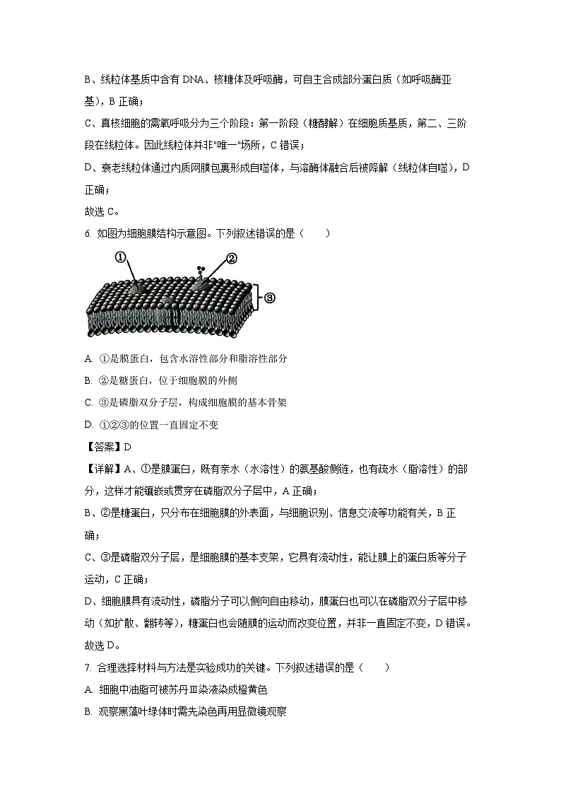 【生物】浙江绍兴市2025-2026学年高一上学期期末调测试题（解析版）第3页