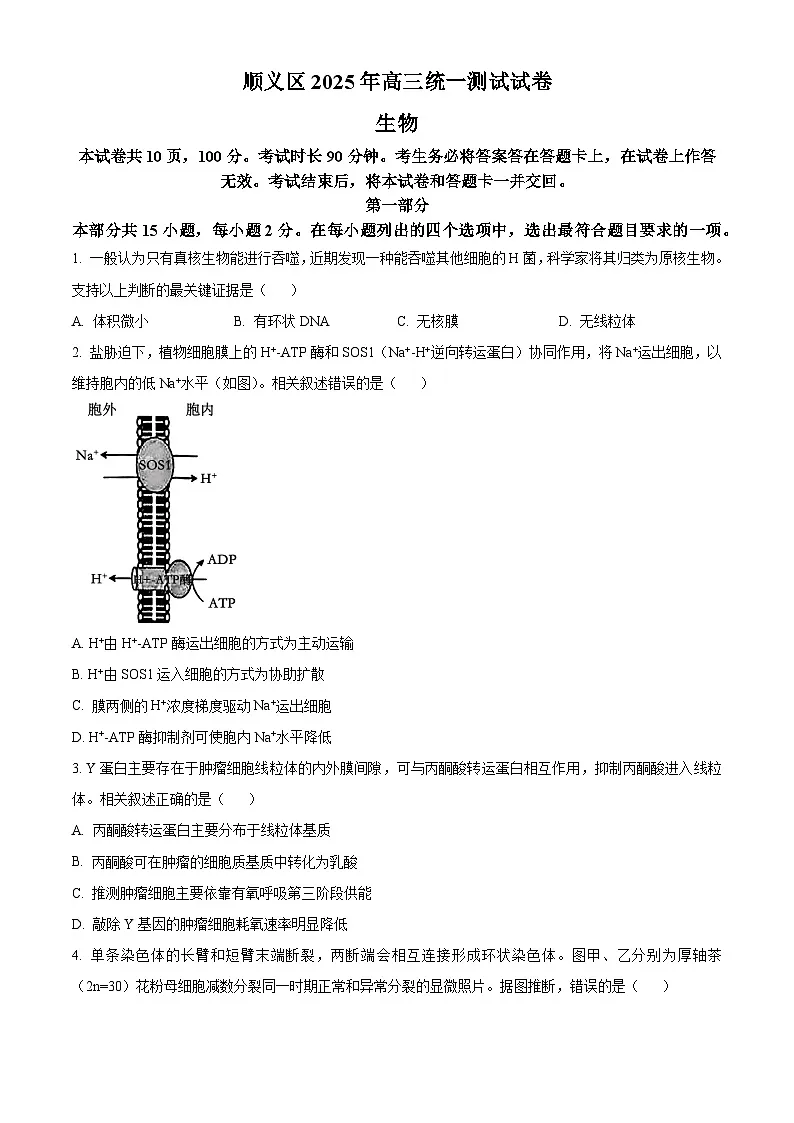 北京市顺义区2025届高三一模考试生物试题（原卷版）第1页