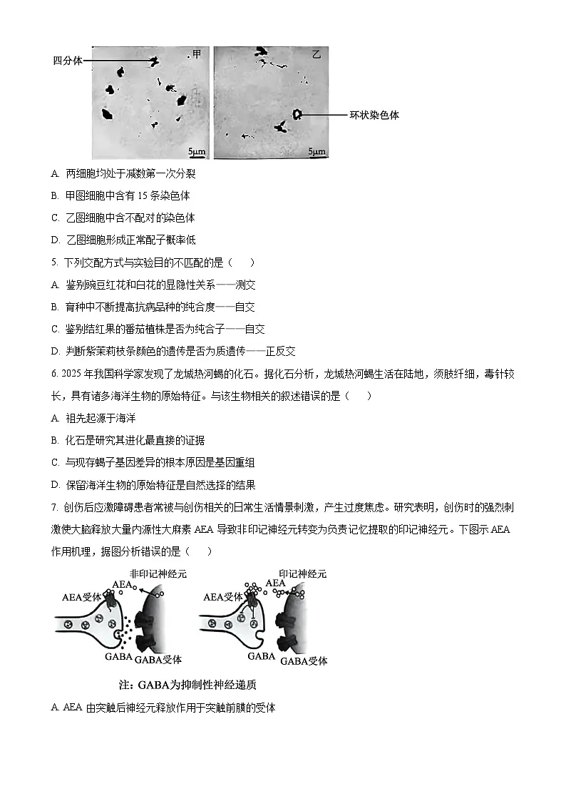 北京市顺义区2025届高三一模考试生物试题（原卷版）第2页