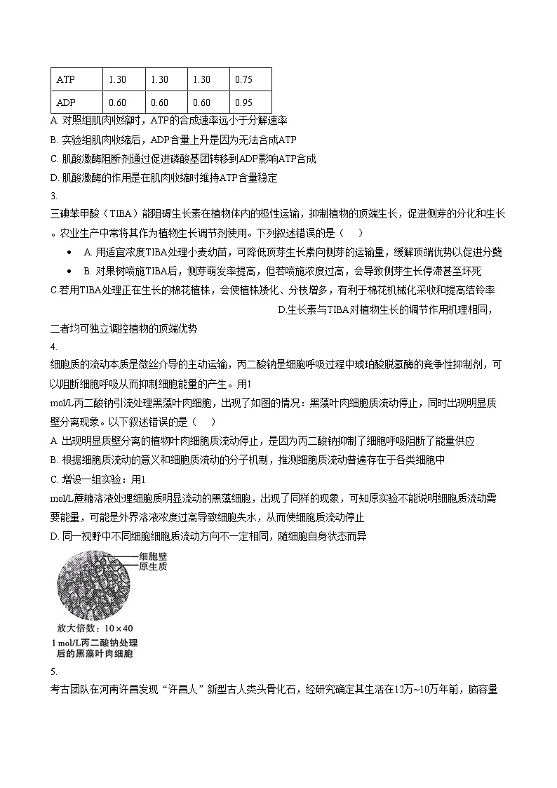 陕西省2026年高考适应性检测(二)生物学(文字版含答案)第2页