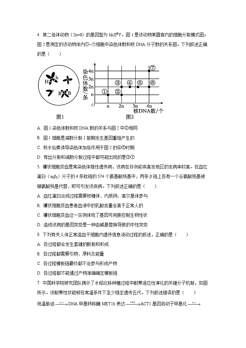 【生物】山西省晋中市2026年高三年级下学期3月调研测试（学生版）第2页