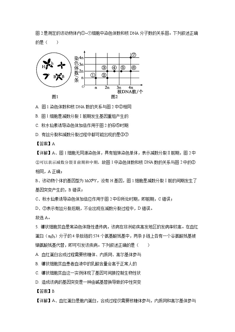 【生物】山西省晋中市2026年高三年级下学期3月调研测试（解析版）第3页
