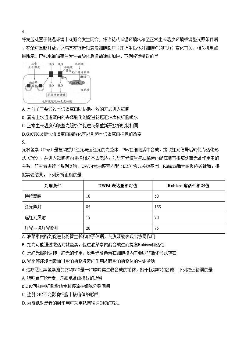2026届四川省成都市青羊区四川省成都市石室中学高三二模生物试题（文字版，含答案）第2页