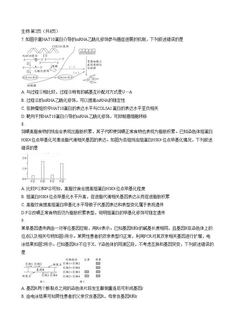 2026届四川省成都市青羊区四川省成都市石室中学高三二模生物试题（文字版，含答案）第3页