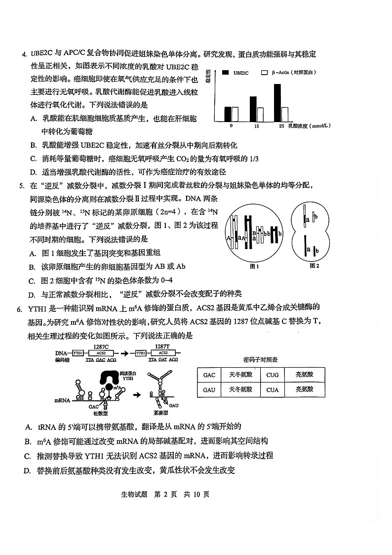2026年青岛高三下学期一模生物试题和参考答案第2页