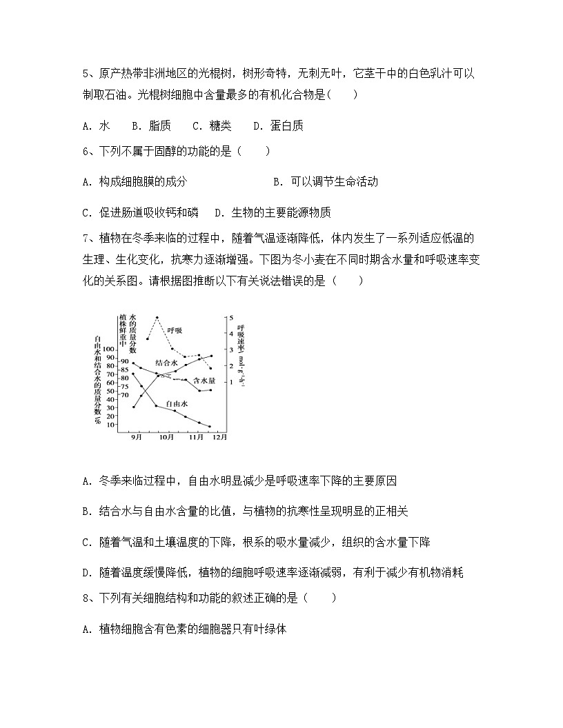 云南省玉溪市红塔区普通高中2024年高一上学期第一次诊断性考试生物试卷（含答案）第2页