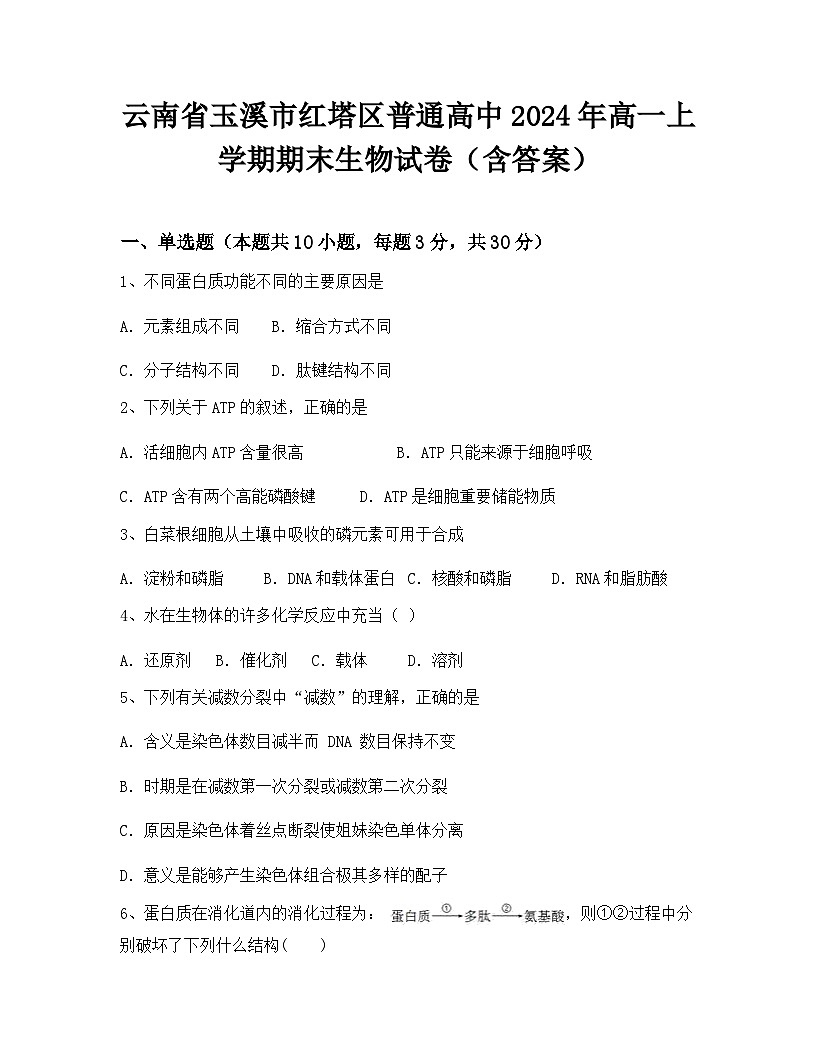 云南省玉溪市红塔区普通高中2024年高一上学期期末生物试卷（含答案）第1页
