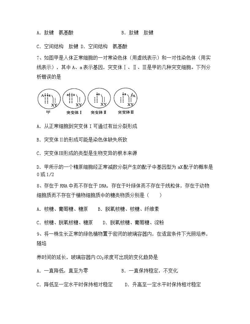 云南省玉溪市红塔区普通高中2024年高一上学期期末生物试卷（含答案）第2页