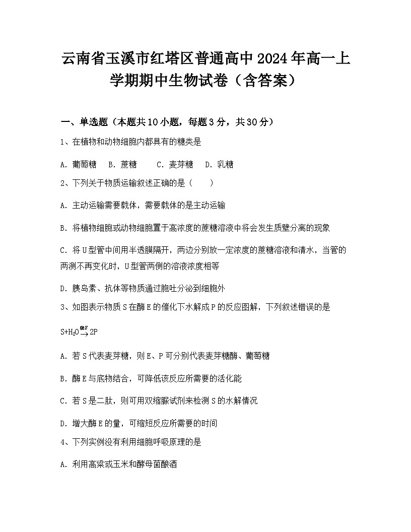 云南省玉溪市红塔区普通高中2024年高一上学期期中生物试卷（含答案）第1页