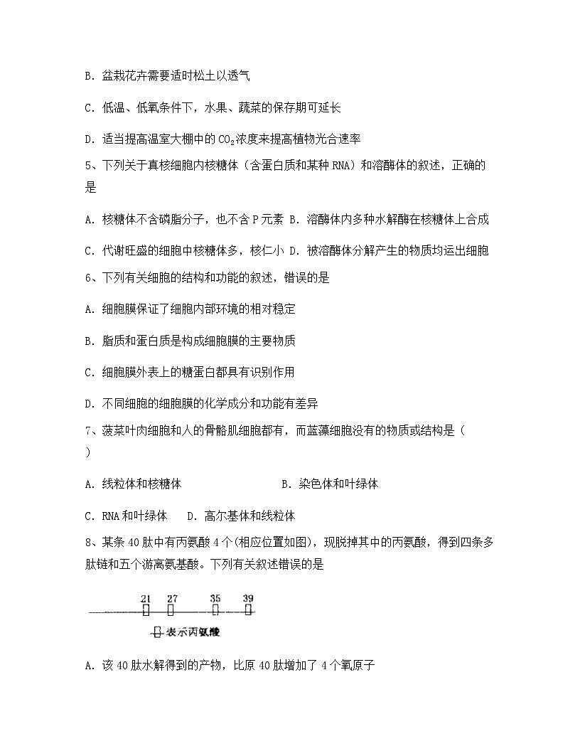 云南省玉溪市红塔区普通高中2024年高一上学期期中生物试卷（含答案）第2页