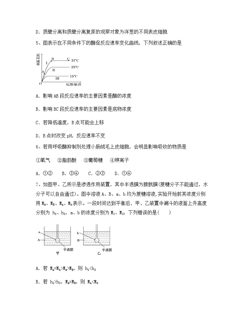 云南省丽江市2024年高一上学期期末生物试卷解析版第2页