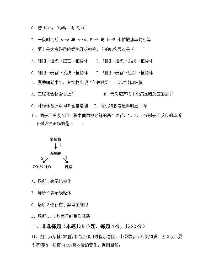 云南省丽江市2024年高一上学期期末生物试卷解析版第3页