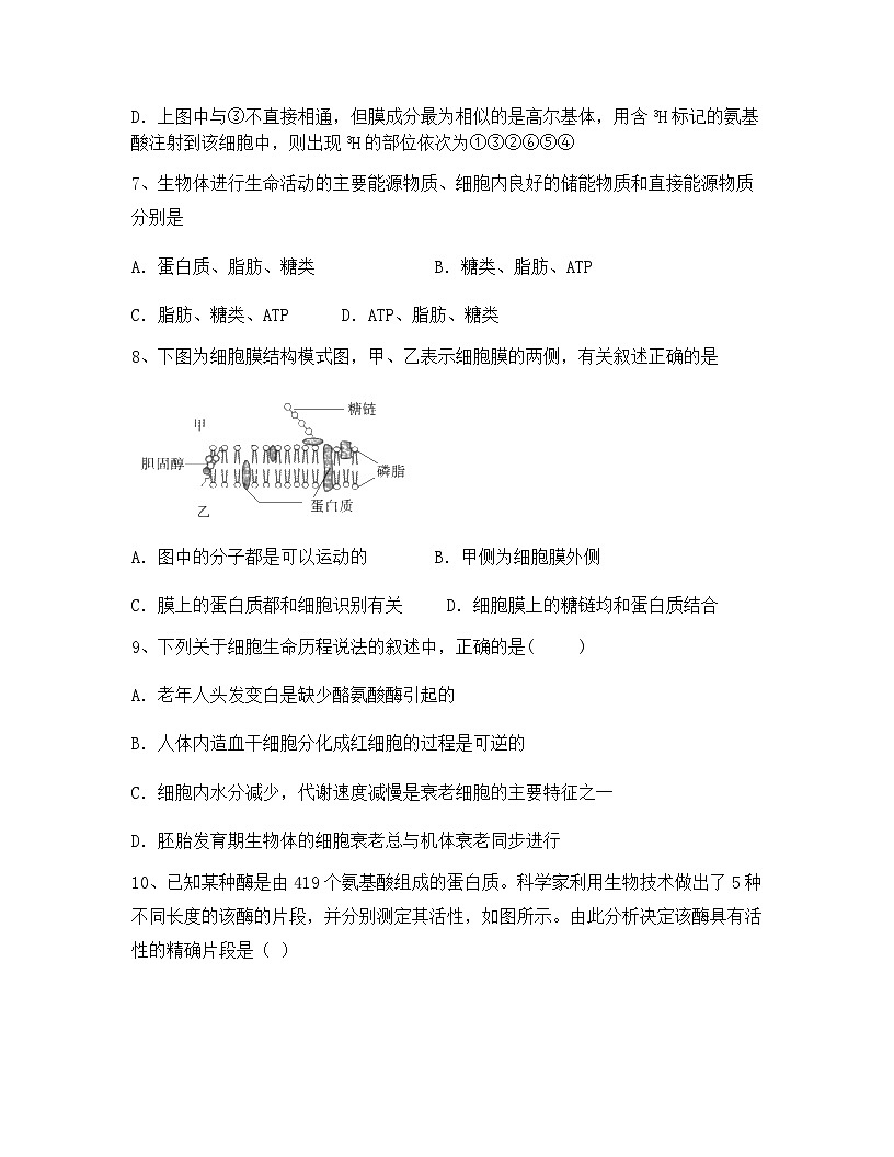 云南省丽江市古城二中2024年高一上学期期中生物综合检测试卷（含答案）第3页