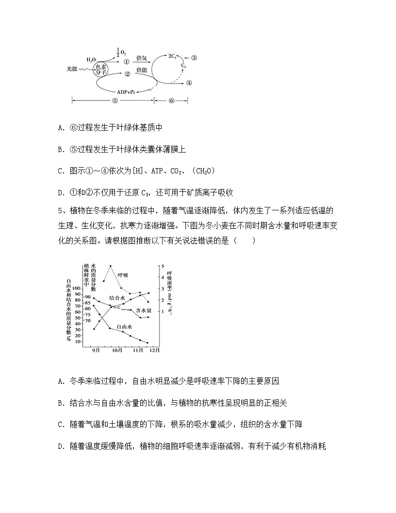 云南省大理、丽江、怒江2024年高一上学期期中生物试卷（含答案）第2页