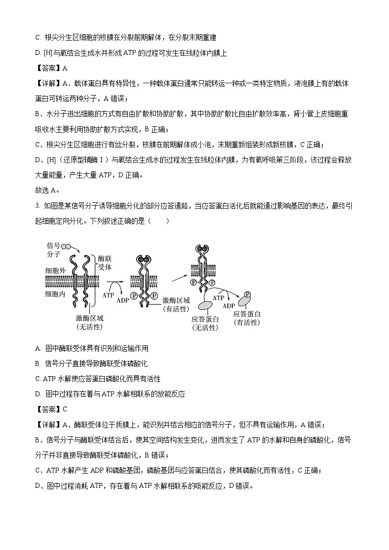 云南大理市2025~2026学年上学期高二年级教学质量监测考试生物学试卷（含解析）第2页