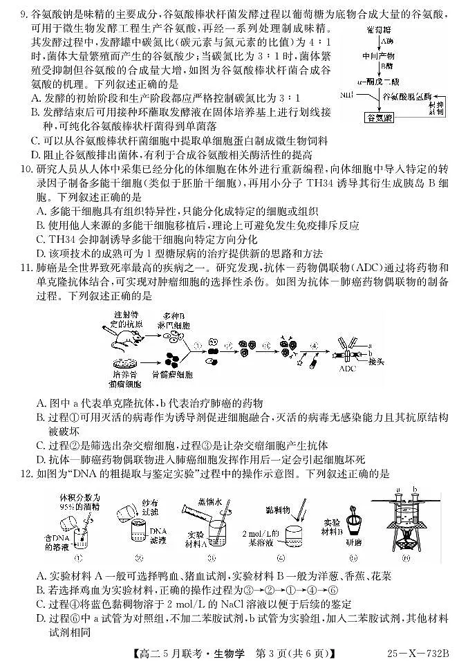 安徽省县中联盟2024-2025学年高二下学期5月联考生物试卷（含答案）第3页