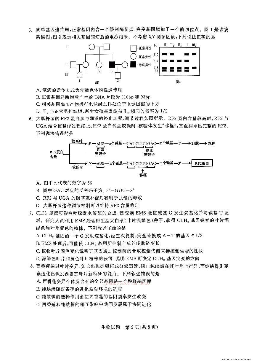 2026年潍坊高三下学期3月生物试题无答案第2页