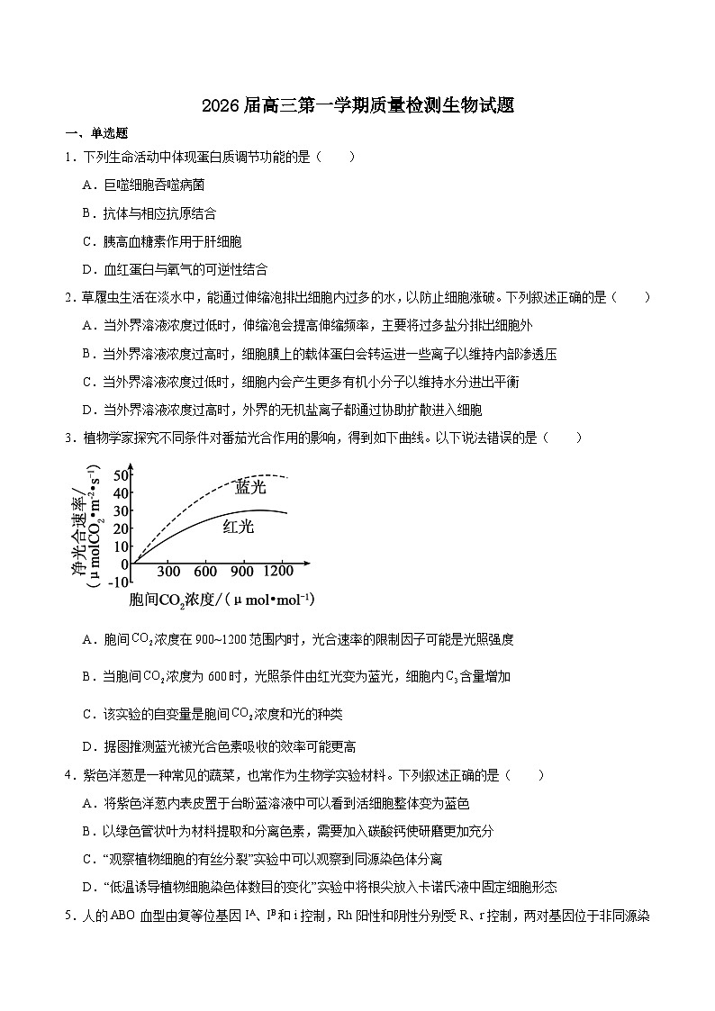 2026枣庄高三上学期质量检测（一调）生物含答案第1页