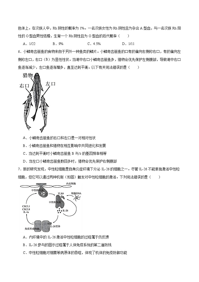 2026枣庄高三上学期质量检测（一调）生物含答案第2页