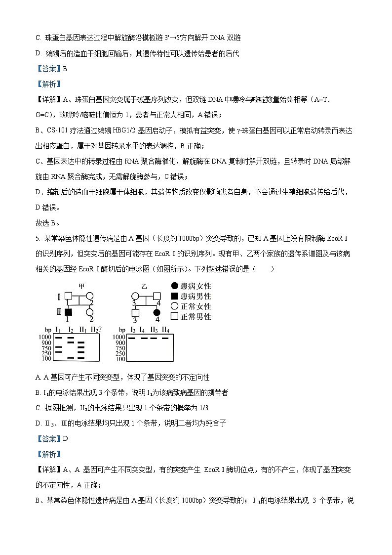 河北省名校协作体2026届高三一模生物试题 Word版含解析第3页