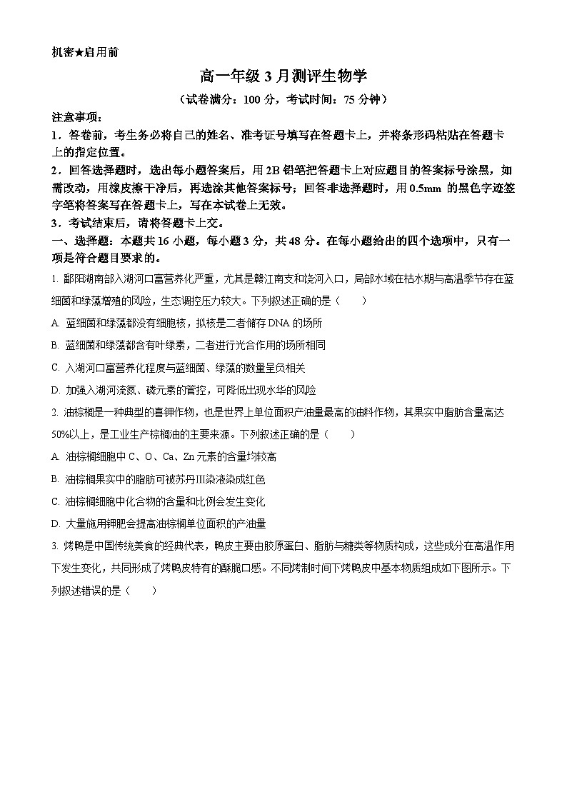 河南开封市新未来2025-2026学年高一年级下学期3月测评生物试题（原卷版）第1页