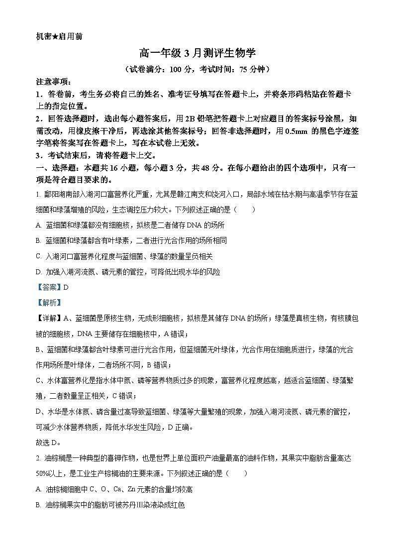 河南开封市新未来2025-2026学年高一年级下学期3月测评生物试题 Word版含解析第1页