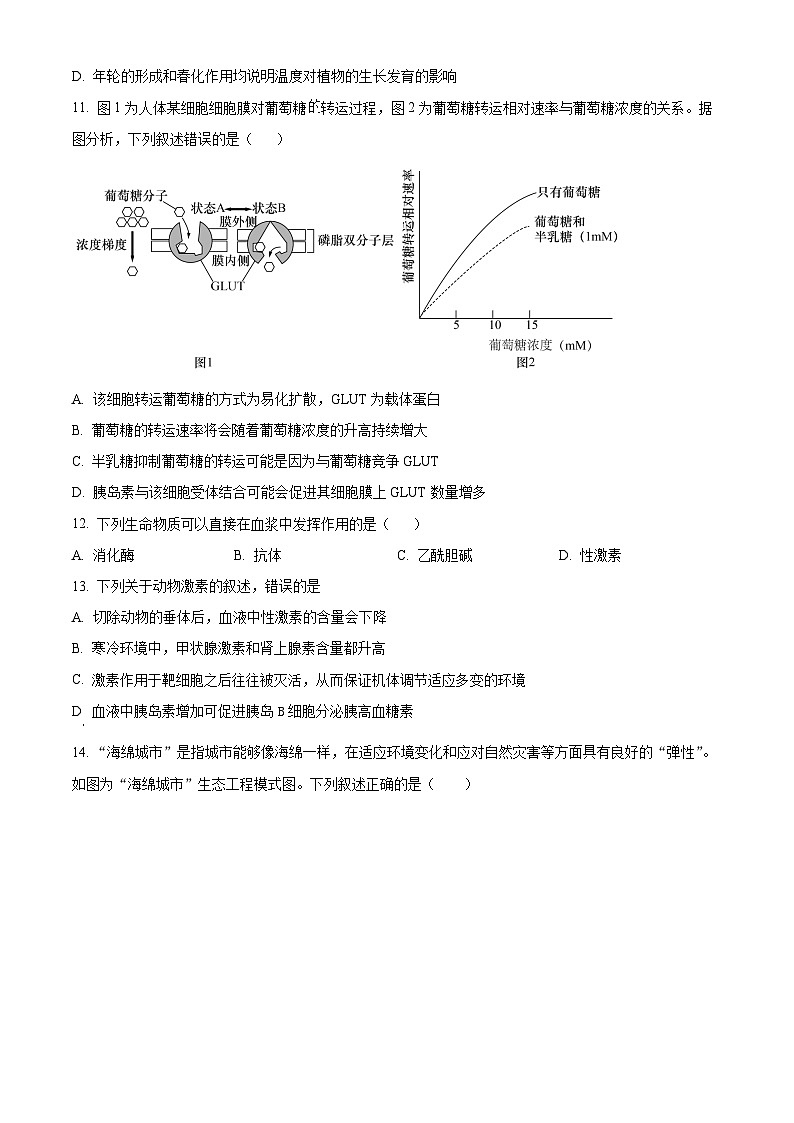 河南省天立教育2025-2026学年高二下学期开学考试生物试题（原卷版）第3页