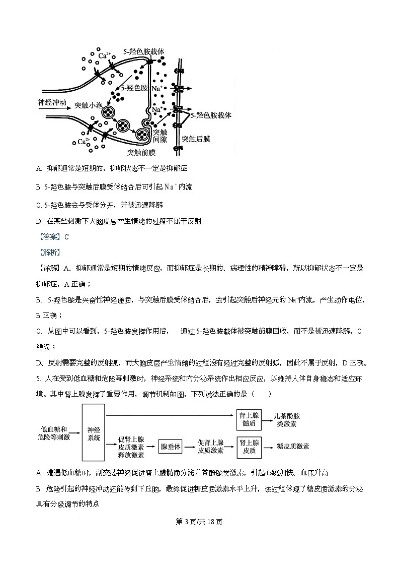 湖北襄阳市楚云协作体2025-2026学年高二下学期阶段检测生物试卷 Word版含解析第3页