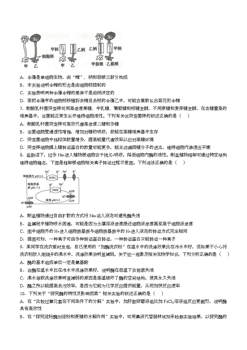 湖北省孝感市楚天协作体2025-2026学年高一下学期3月阶段检测生物试卷（Word版附答案）第2页