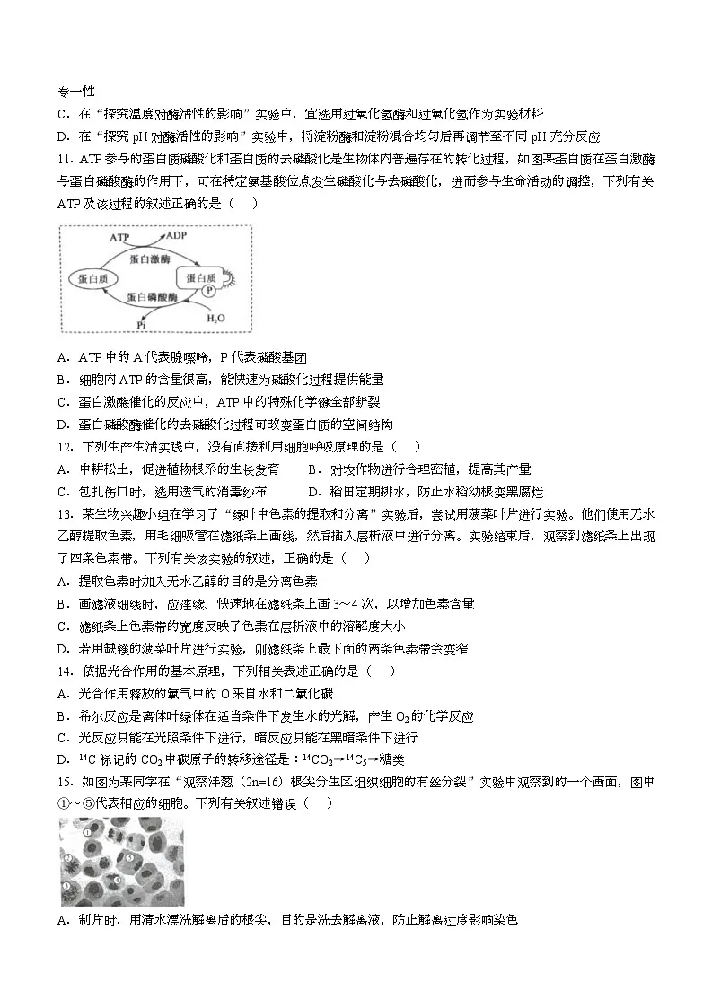 湖北省孝感市楚天协作体2025-2026学年高一下学期3月阶段检测生物试卷（Word版附答案）第3页