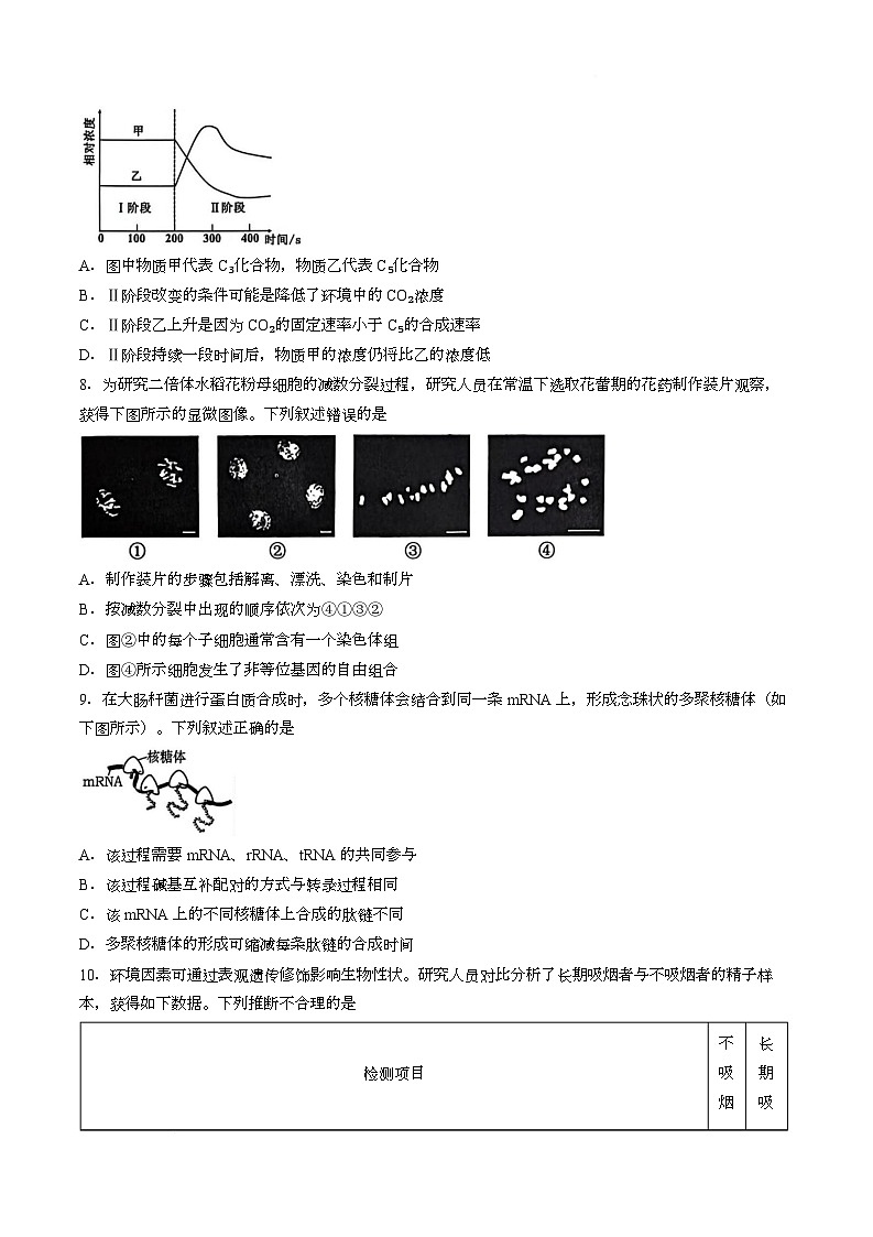 【试卷】湖北黄石市2026届高三(3月)模拟考试生物试题第3页