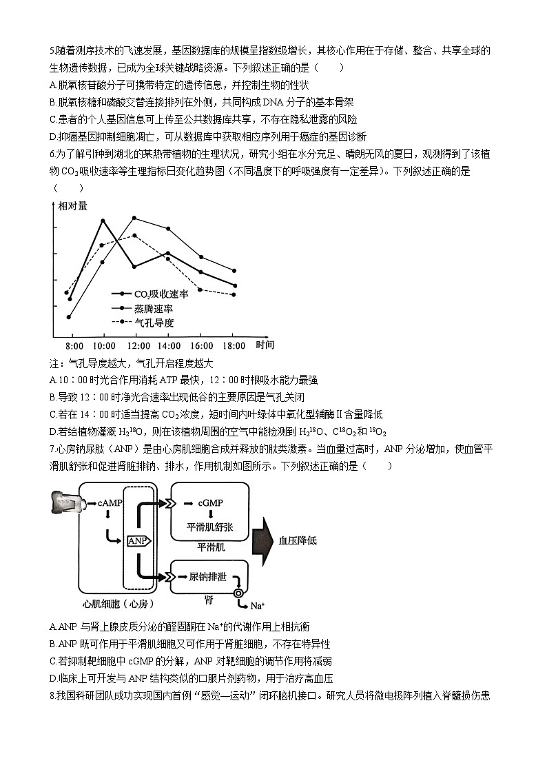 湖北省黄冈市2026届高三下学期二模生物试卷（Word版附答案）第2页