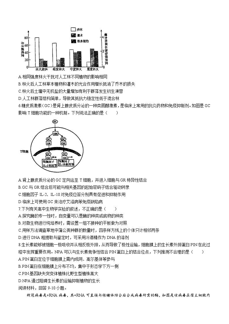 2023届天津市红桥区高三下学期二模生物试题 附答案第2页